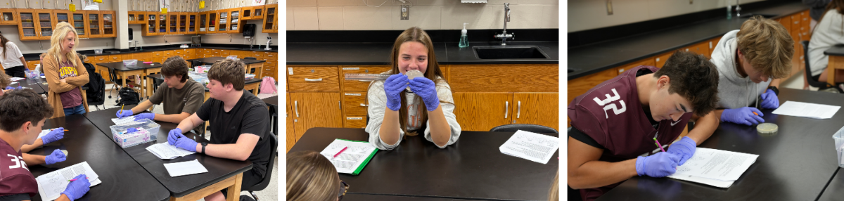 three photos of Ms. Burton's lesson